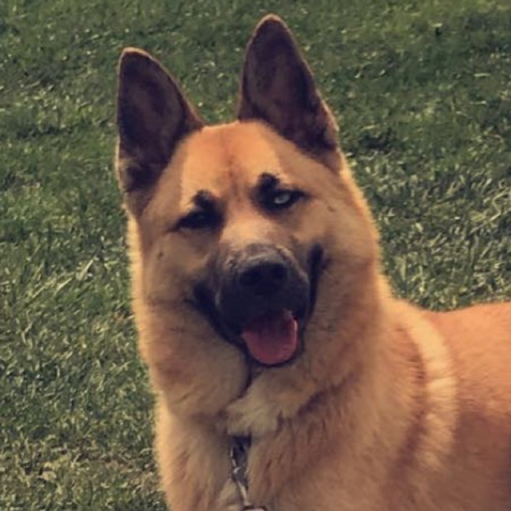 Meet your Posher, Kaira